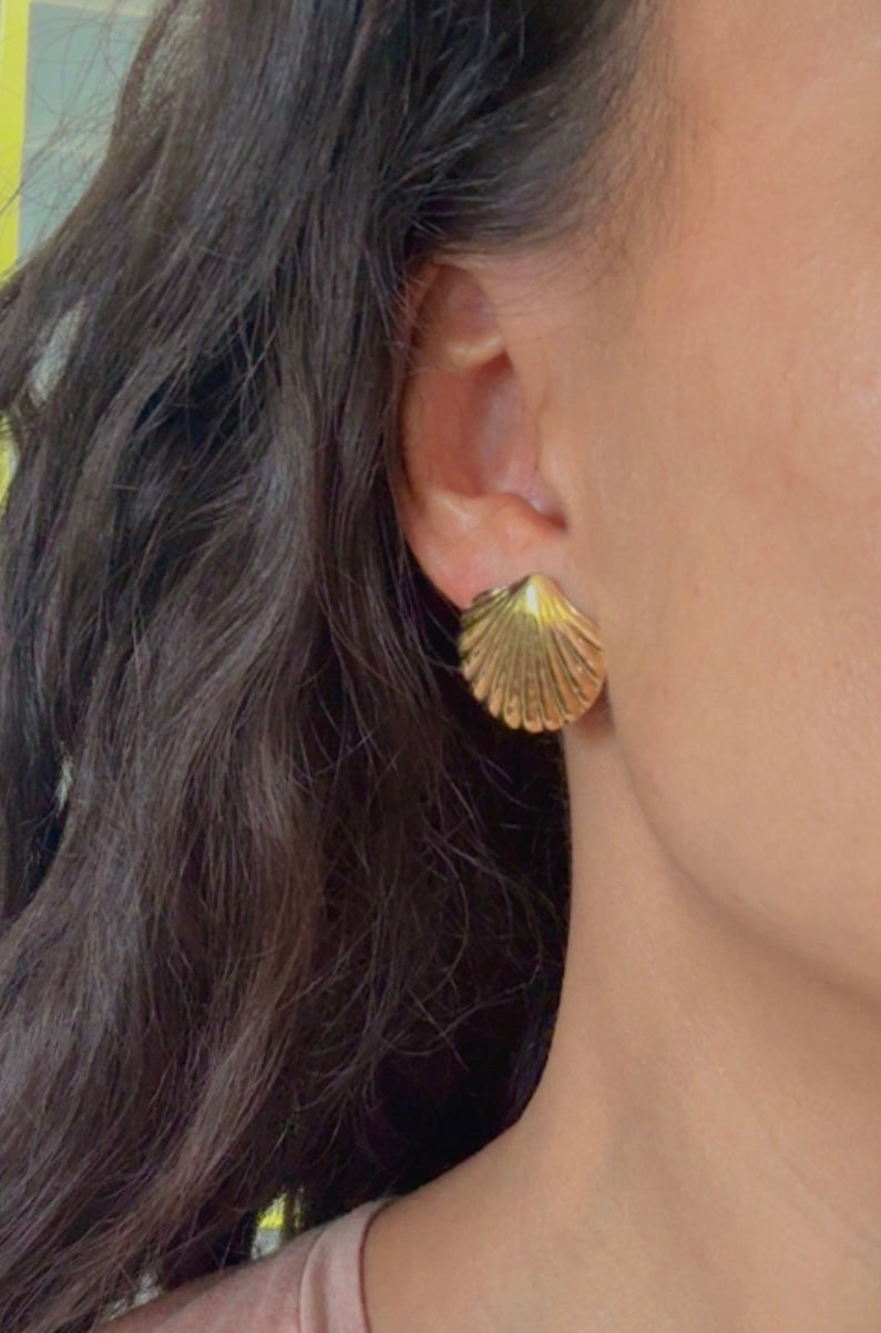 Golden Shell Stud Earrings