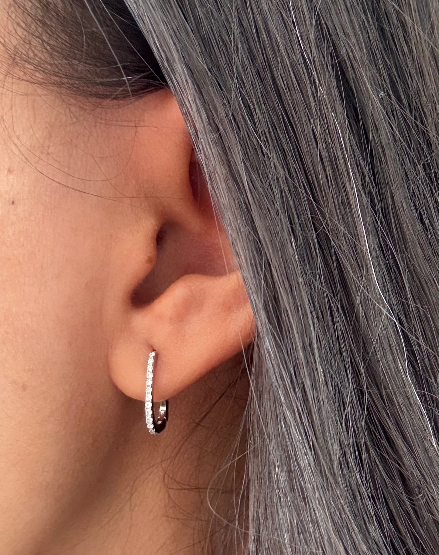 Sterling Brilliance Earrings