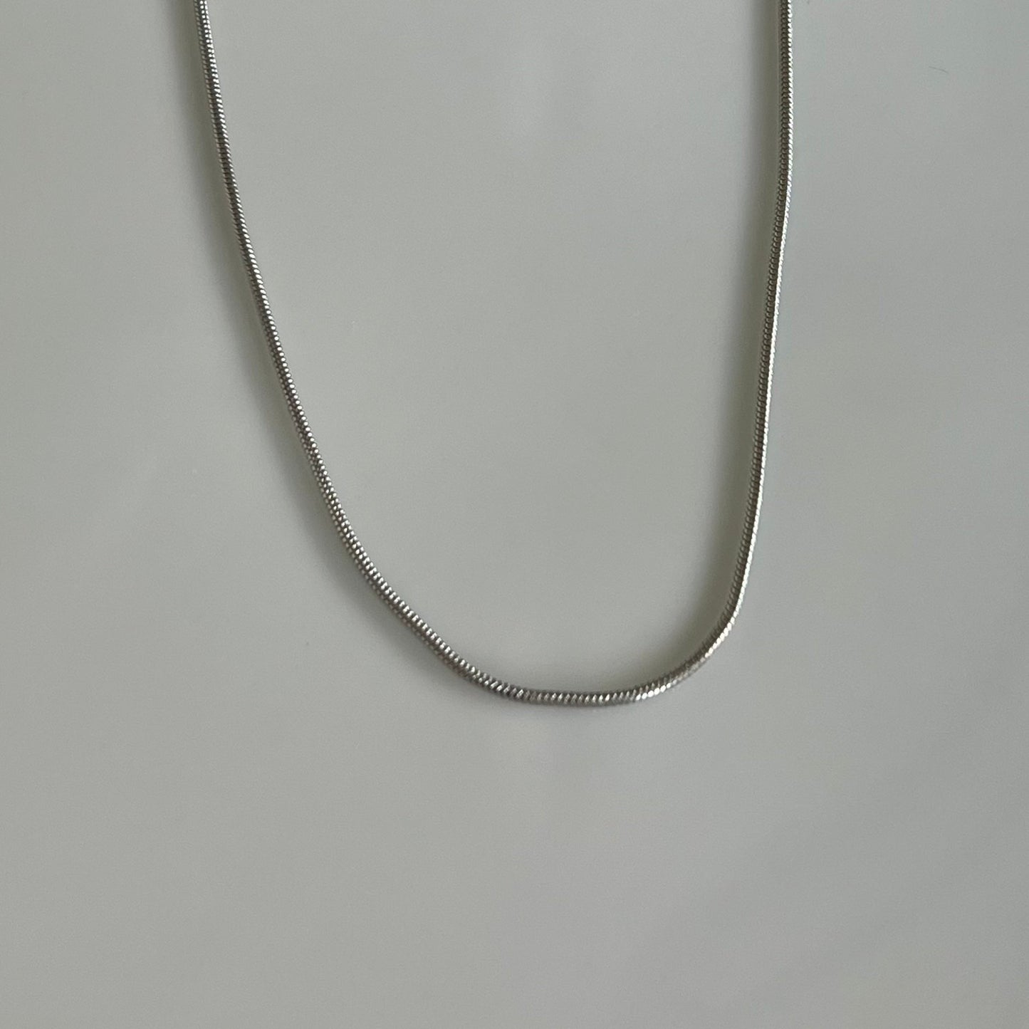 Snake Chain Necklace