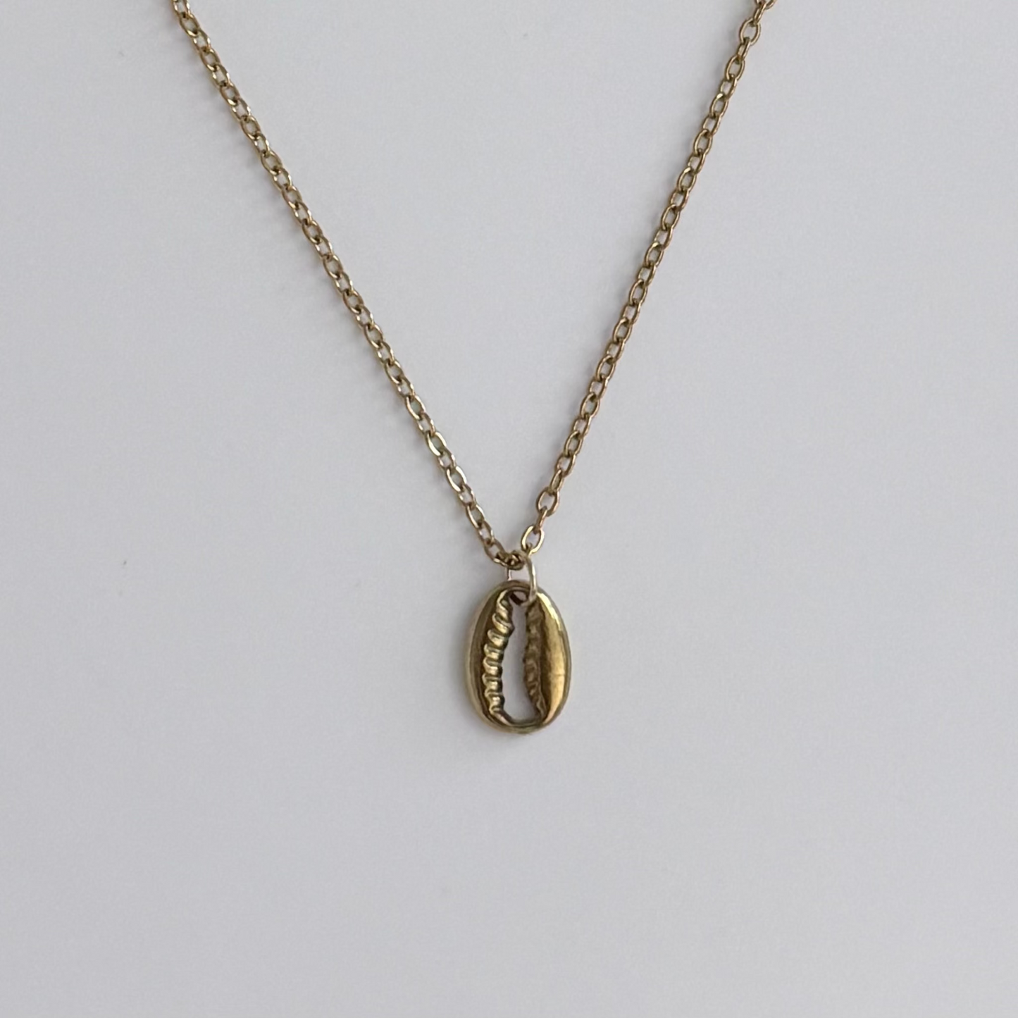 A gold-toned chain necklace featuring a small cowrie shell pendant, displayed against a clean, light gray background.