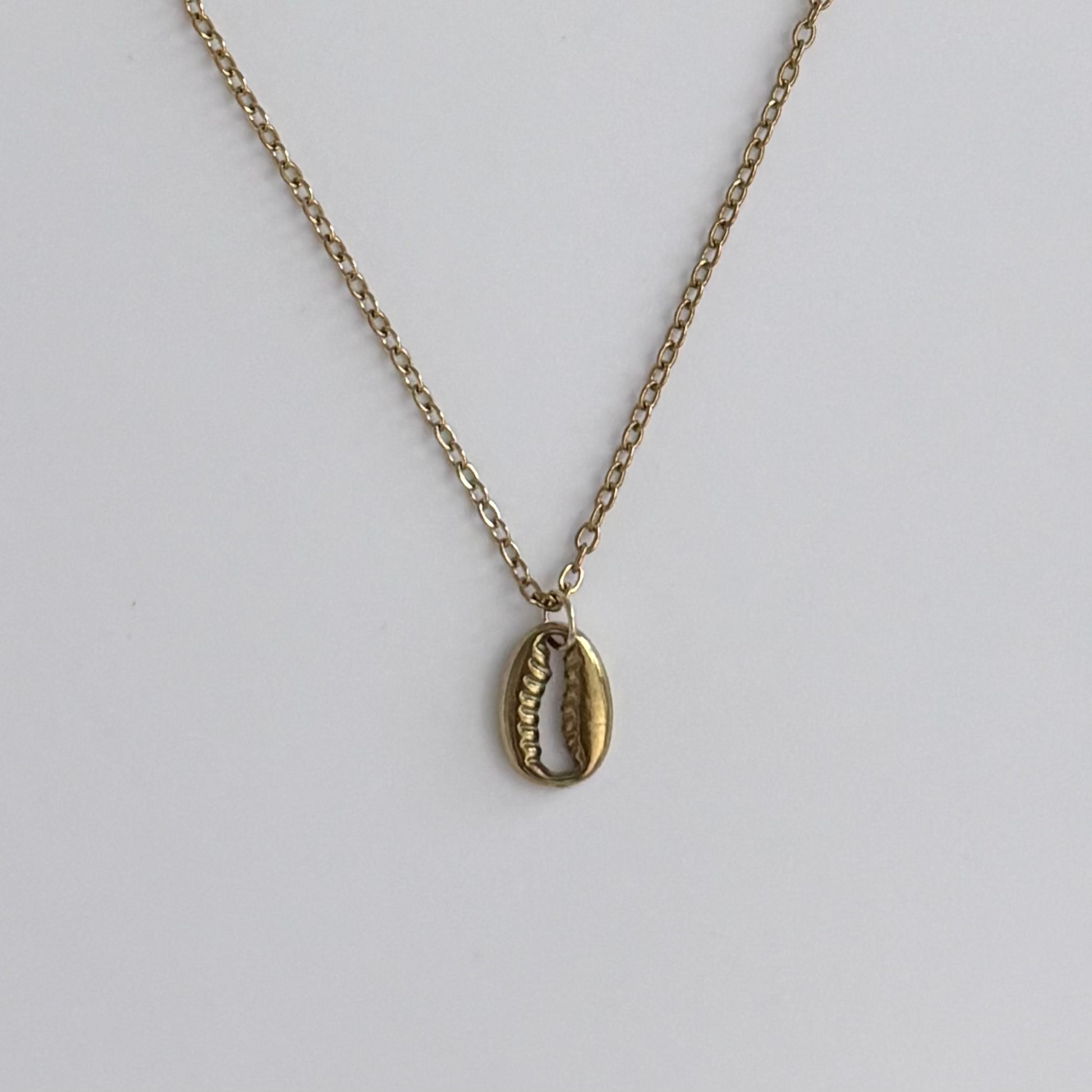 A gold-toned chain necklace featuring a small cowrie shell pendant, displayed against a clean, light gray background.