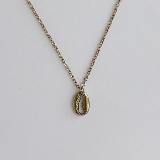 A gold-toned chain necklace featuring a small cowrie shell pendant, displayed against a clean, light gray background.