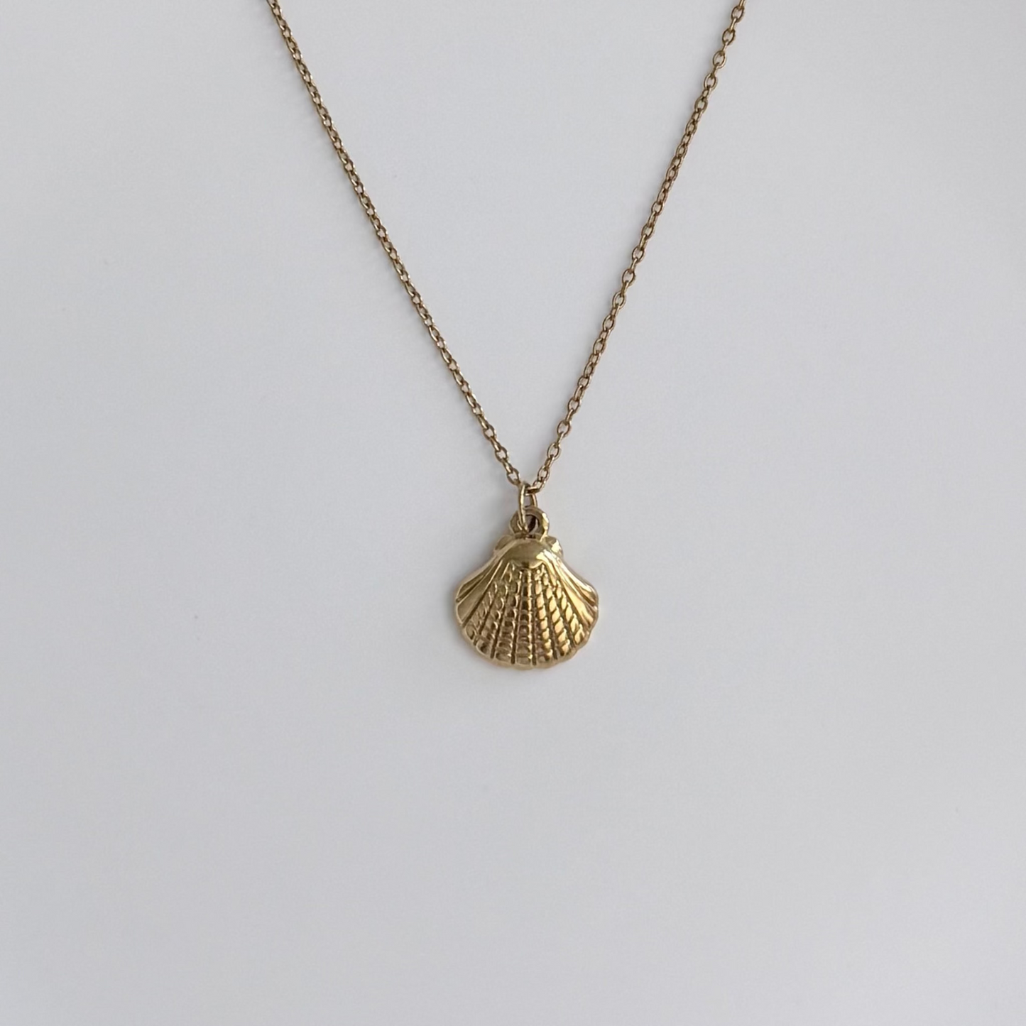 A gold-toned chain necklace with a textured scallop shell pendant, displayed against a clean, light gray background.